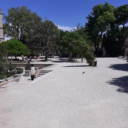 Studio Intra-Muros 5Mn Gare Centre Διαμέρισμα Αβινιόν Εξωτερικό φωτογραφία